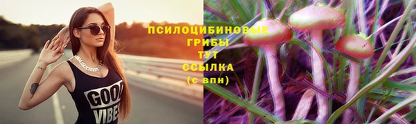 a pvp Армянск