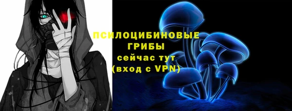 дмт Аркадак