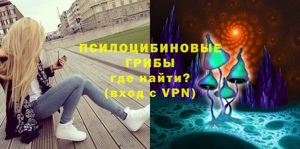 дмт Аркадак