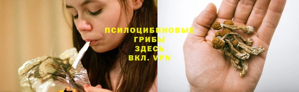 дмт Аркадак